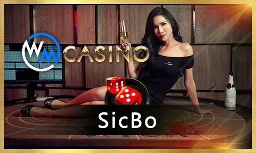 Sports betting interface with various sports